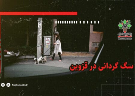 فیلم | سگ گردانی در قزوین