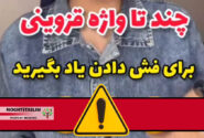 آموزش فحش توسط بلاگر قزوینی!