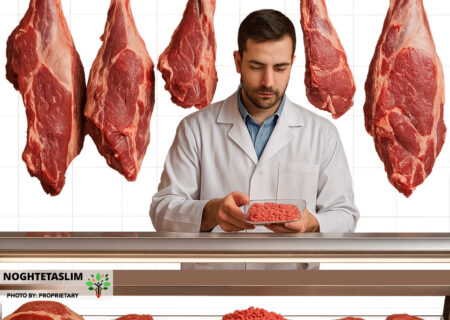 تعاونی گوشت، راهکاری برای تعدیل قیمت‌ها در بازار قزوین