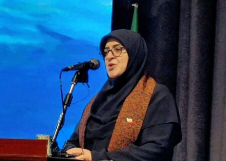 سخنگوی دولت: سرمایهداری انسان را به مصرفکننده صرف تبدیل میکند