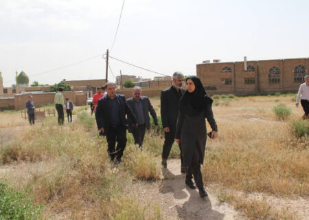 نجات «خله‌کوه» از ساخت‌وساز؛ وعده اعتبار برای کاوش در محوطه‌ تاریخی تاکستان