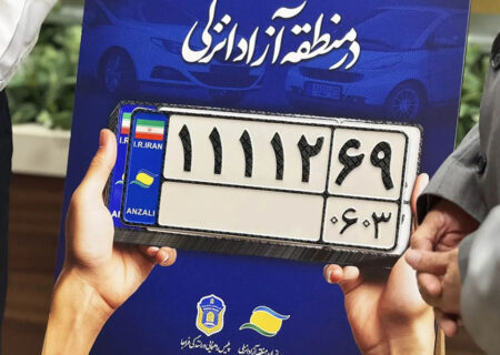 گسترش قلمرو خودروهای پلاک ویژه، دستاورد اقتصادی یا چالش امنیتی؟