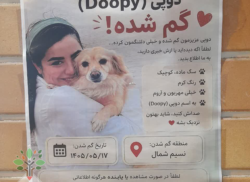 «دوپی» گم شد؛ انسان کجاست؟