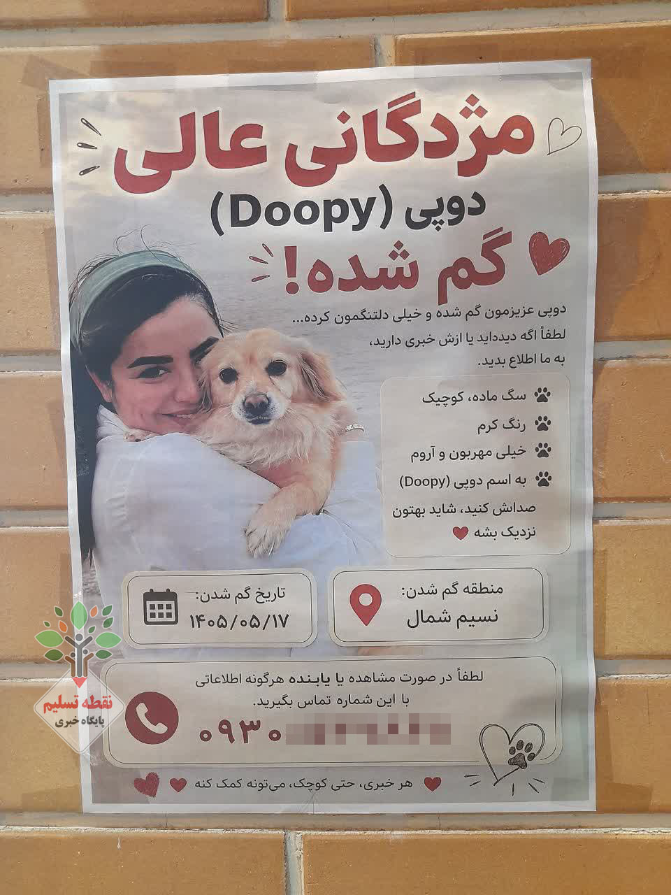 «دوپی» گم شد؛ انسان کجاست؟